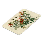 Hummingbird Ruby Throated Audubon Magneet (Linkerzijde)