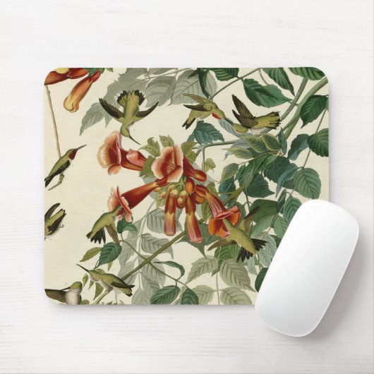 Hummingbird Ruby Throated Audubon Muismat (Met muis)