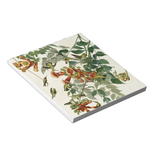 Hummingbird Ruby Throated Audubon Notitieblok (Schuin)