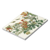 Hummingbird Ruby Throated Audubon Notitieblok (Linkerzijde)