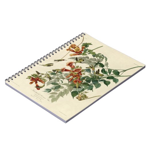 Hummingbird Ruby Throated Audubon Notitieboek (Linkerzijde)