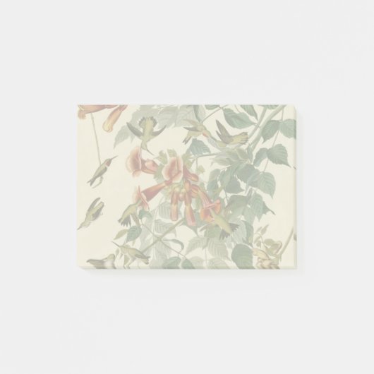 Hummingbird Ruby Throated Audubon Post-it® Notes (Voorkant)