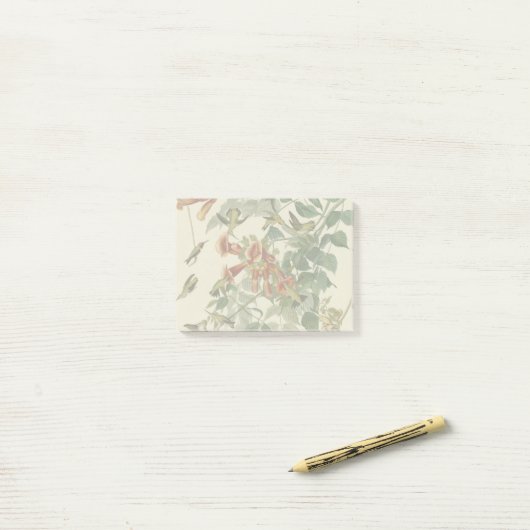 Hummingbird Ruby Throated Audubon Post-it® Notes (Op bureau)
