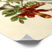 Hummingbird Ruby Throated Audubon Poster (Hoek)