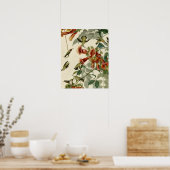Hummingbird Ruby Throated Audubon Poster (Keuken)