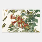 Hummingbird Ruby Throated Audubon Rechthoekige Sticker (Voorkant)