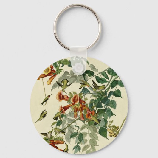Hummingbird Ruby Throated Audubon Sleutelhanger (Voorkant)