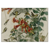 Hummingbird Ruby Throated Audubon Snijplank (Voorkant)