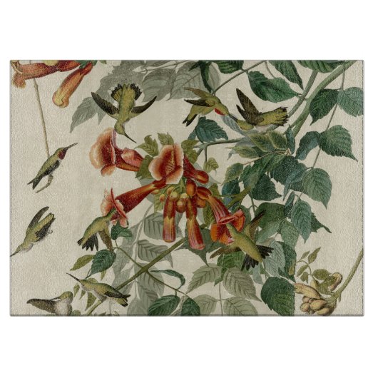 Hummingbird Ruby Throated Audubon Snijplank (Voorkant)