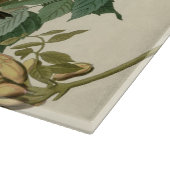 Hummingbird Ruby Throated Audubon Snijplank (Hoek)