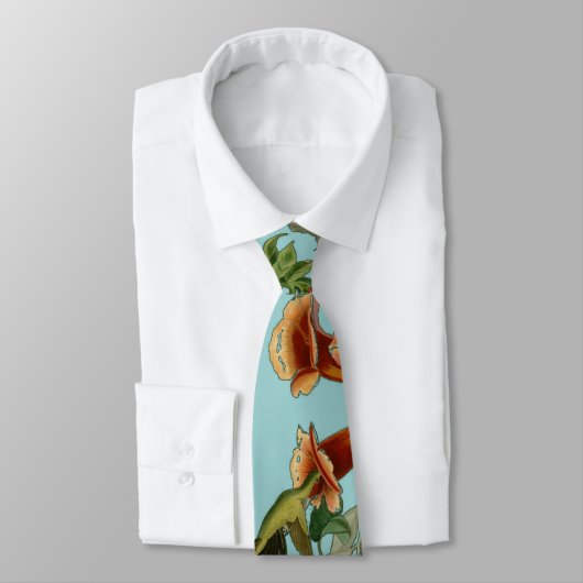 Hummingbird Ruby Throated Audubon Stropdas (Gebonden)