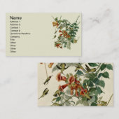 Hummingbird Ruby Throated Audubon Visitekaartje (Voorkant / Achterkant)