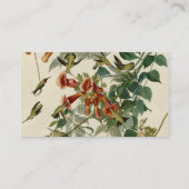 Hummingbird Ruby Throated Audubon Visitekaartje (Achterkant)