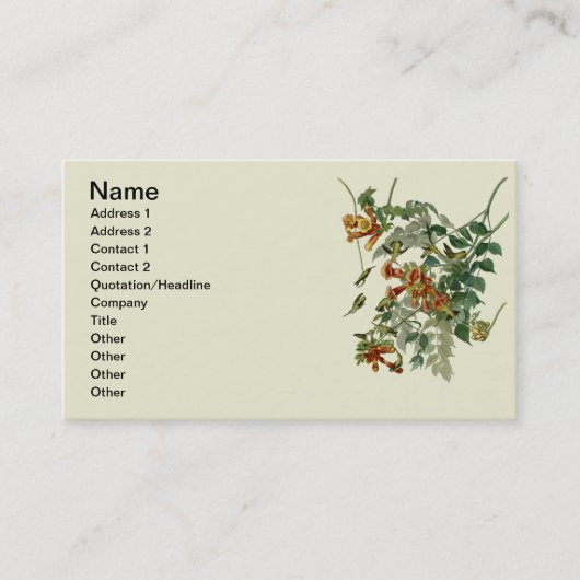 Hummingbird Ruby Throated Audubon Visitekaartje (Voorkant)