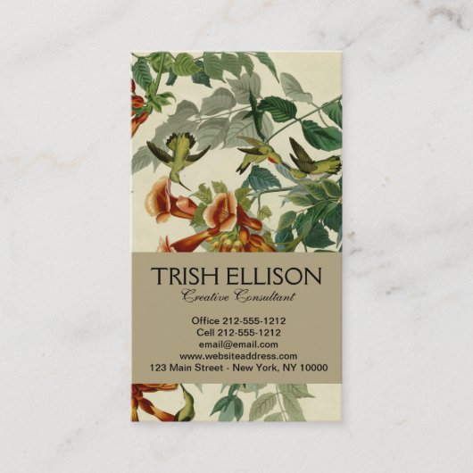 Hummingbird Ruby Throated Audubon Visitekaartje (Voorkant)