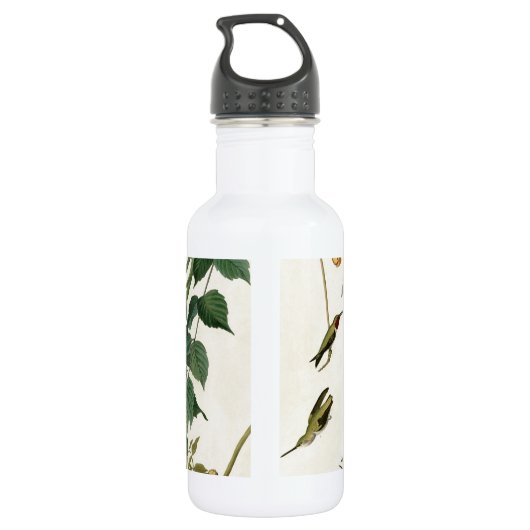 Hummingbird Ruby Throated Audubon Waterfles (Achterkant)