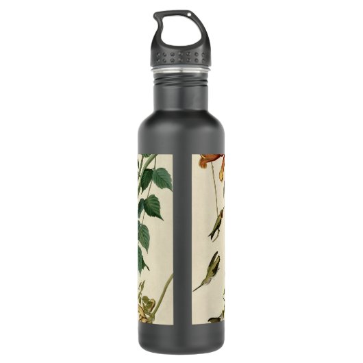 Hummingbird Ruby Throated Audubon Waterfles (Achterkant)