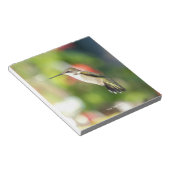 Hummingbird Sanctuary Professional Photography  Notitieblok (Schuin)