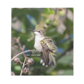 Hummingbird Sanctuary Professional Photography  Notitieblok (Voorkant)