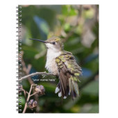 Hummingbird Sanctuary Professional Photography  Notitieboek (Voorkant)