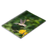 Hummingbird Sanctuary Professional Photography  Notitieboek (Linkerzijde)