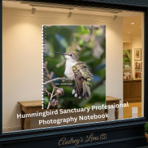 Hummingbird Sanctuary Professional Photography 