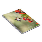 Hummingbird Sanctuary Professional Photography  Notitieboek (Rechterzijde)
