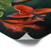 Hummingbird Schilderen Kunst Print Poster (Hoek)