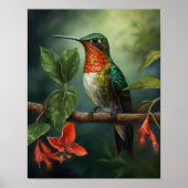 Hummingbird Schilderen Kunst Print Poster (Voorkant)