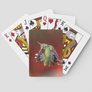 Hummingbird Shuffle Pokerkaarten
