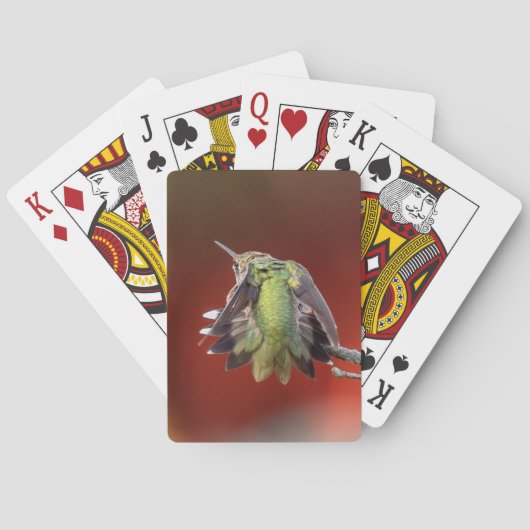 Hummingbird Shuffle Pokerkaarten (Achterkant)