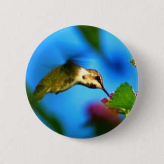 Hummingbird Sipping Ronde Button 5,7 Cm