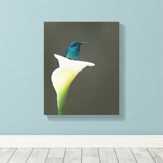 Hummingbird Sitting in Calla Lilly Canvas Afdruk (Insitu (Houten vloer))