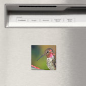 Hummingbird Sluiten Magnet (Insitu (Vaatwasser))
