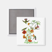 Hummingbird Social Magneet (Voorkant / Achterkant)