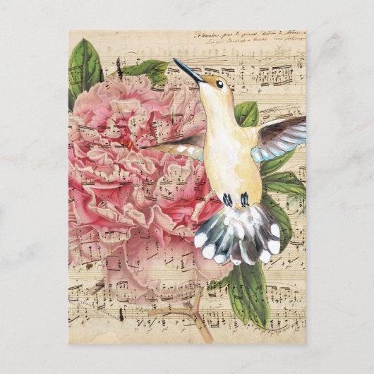 Hummingbird Song Briefkaart (Voorkant)