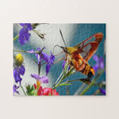 Hummingbird Sphinx Moth Butterfly. Legpuzzel (Horizontaal)