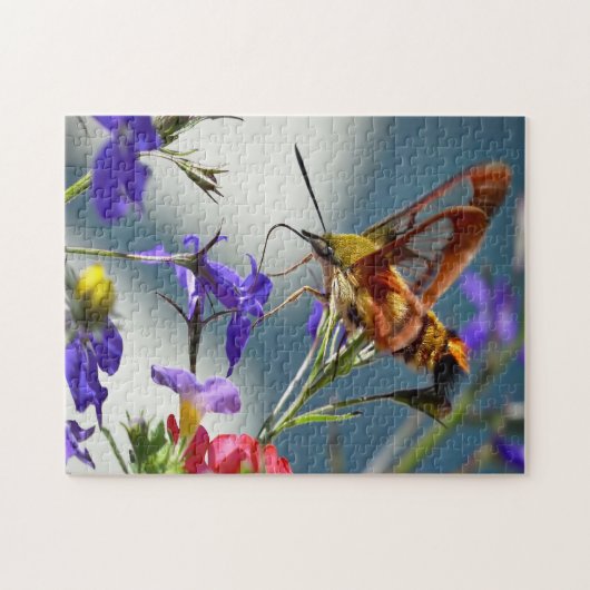 Hummingbird Sphinx Moth Butterfly. Legpuzzel (Horizontaal)