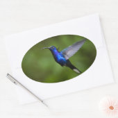 HUMMINGBIRD STICKER (Envelop)