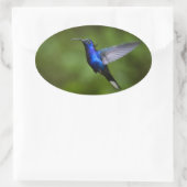 HUMMINGBIRD STICKER (Tas)
