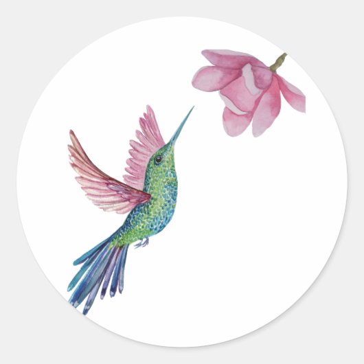 Hummingbird Sticker (Voorkant)