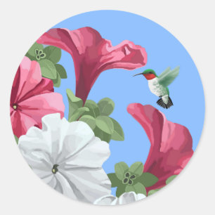 Hummingbird Stickers