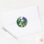 Hummingbird Stickers (Envelop)