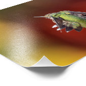 Hummingbird Stretch Photo Print Foto Afdruk (Hoek)