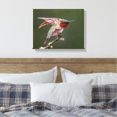 Hummingbird Stretches Fotoprint Canvas Afdruk (Insitu (Slaapkamer))
