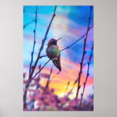 HUMMINGBIRD SUNRISE GLORY POSTER (Voorkant)