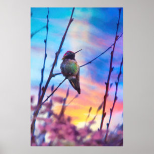 HUMMINGBIRD SUNRISE GLORY POSTER