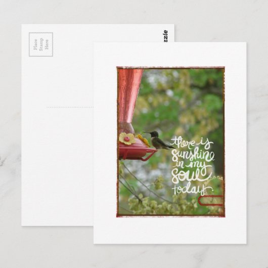 Hummingbird Sunshine in mijn sol Briefkaart (Voorkant / Achterkant)