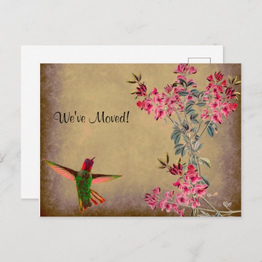 Hummingbird & Sweet Peas Rustic Change of Address Briefkaart (Voorkant / Achterkant)