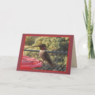 Hummingbird Sympathiekaart voor iedereen Kaart